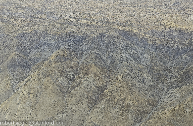 Desert Biogeography of Joshua Tree National Park